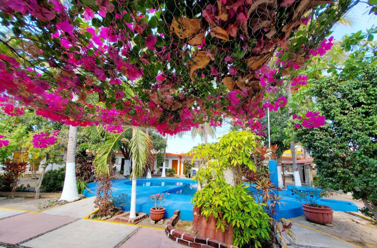 Hotel Oasis Melaque San Patricio Melaque Exterior foto